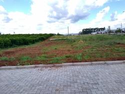 Terreno para Venda em Harmonia - 4