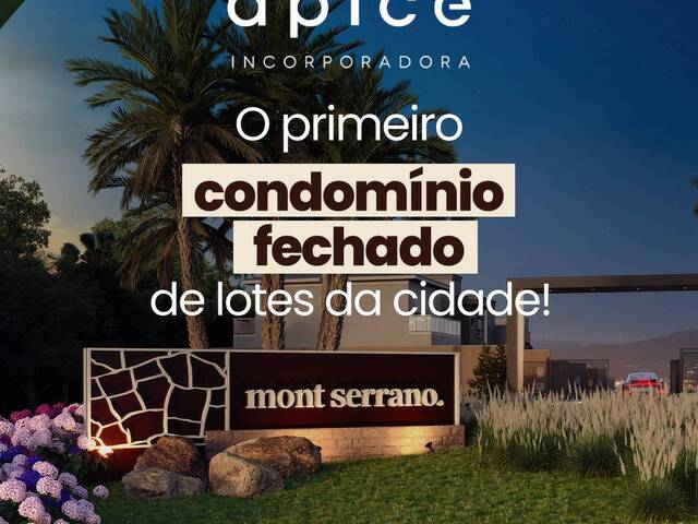 Área para Venda em Montenegro - 4